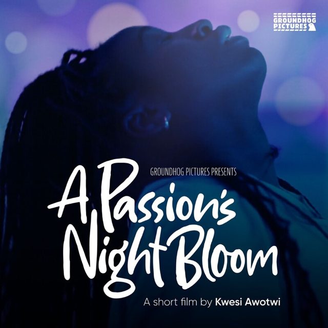 A Passion s Night Bloom