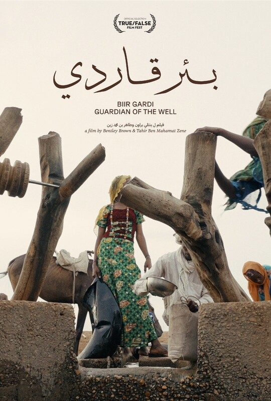 Guardian of the Well