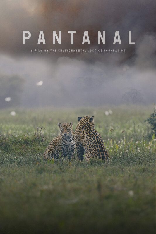Pantanal