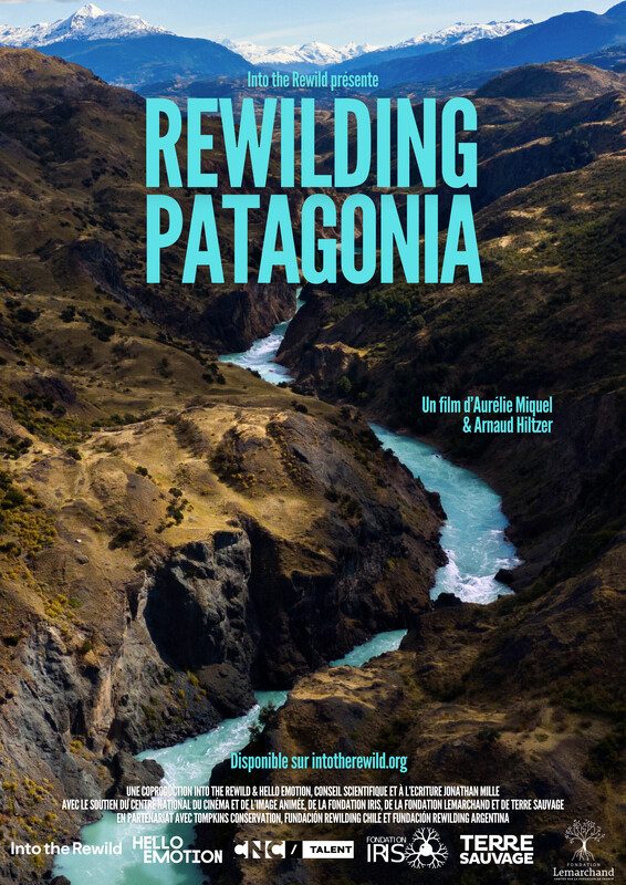 Rewilding Patagonia